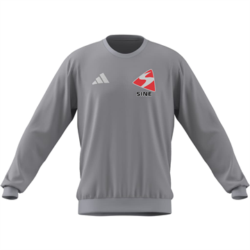 Ent26 Sweatshirt Grå